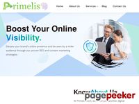 Best SEO Agency Primelis Tech - Digital Marketing Consultant New York