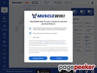 musclewiki.com